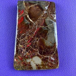 Collectible Red Tones Natural Ammolite Fossil
